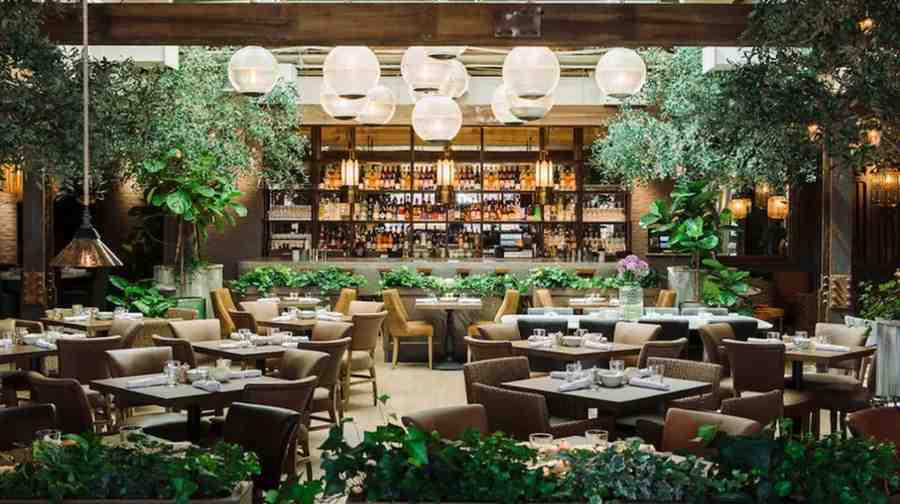 Chicago’s Hottest Restaurants Turning Up the Flavor Right Now