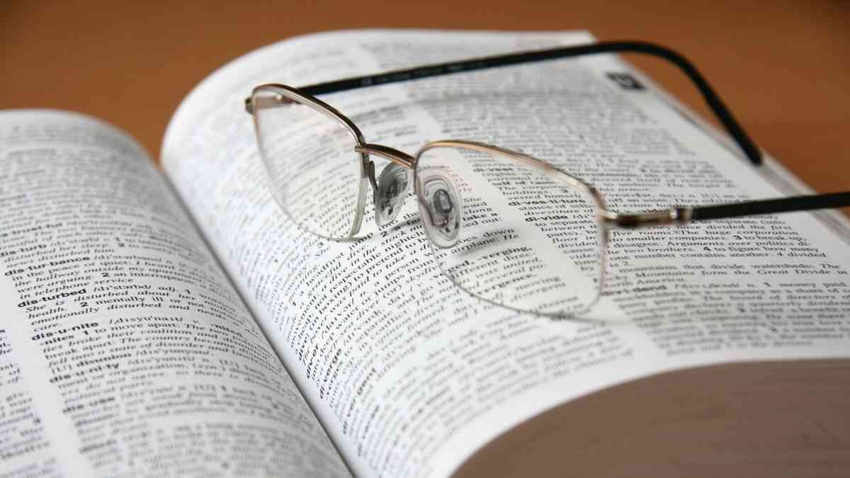 Cambridge Dictionary New Words Skibidi and Delulu Take Over English