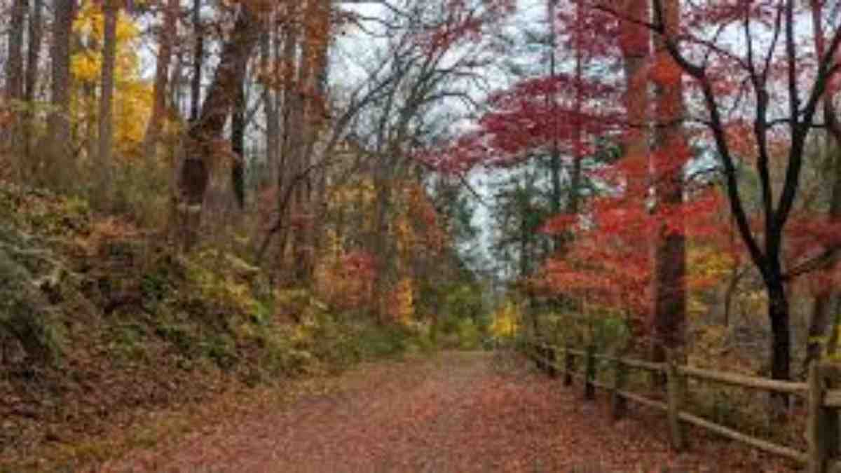 Things to Do in Philadelphia This Fall: Your Ultimate Seasonal Guide