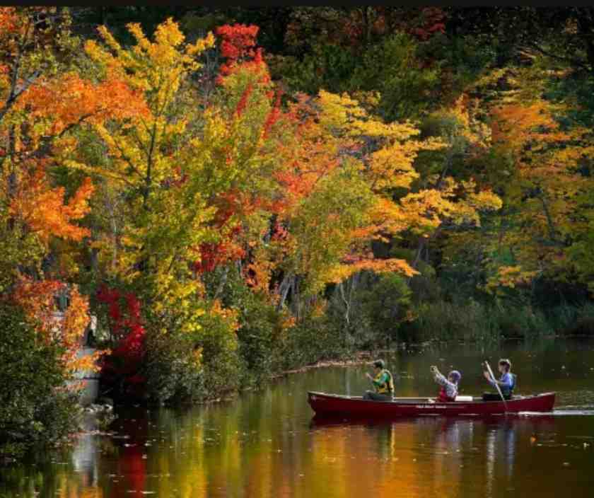 Philadelphia Autumn Shines: Supermoons, Bird Migrations, and Fall Foliage Spectacle