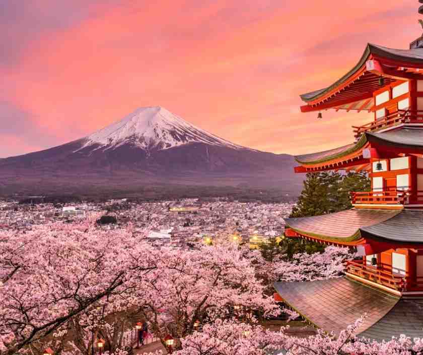 Neon Dreams and Ancient Streets: Your Tokyo Adventure Awaits