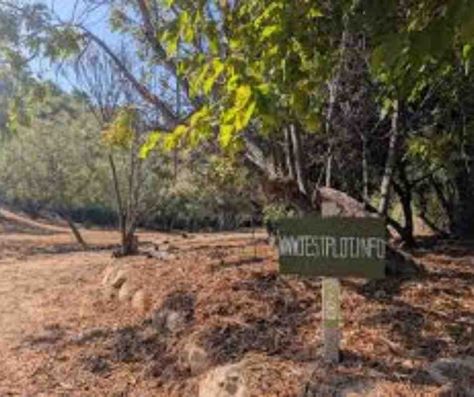 LAist Faces Federal Funding Cut as Rainbow Canyon Test Plot Sparks Urban Restoration Movement