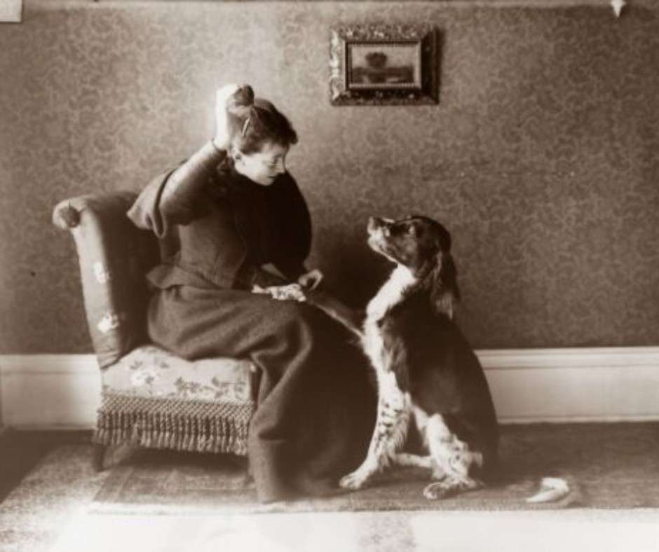 Sisters of Influence: How Rose Fay Thomas and Her Sisters Transformed Chicago Society